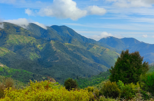 национальный парк Новой Зеландии