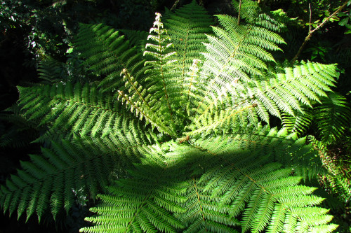 озеро Хавея