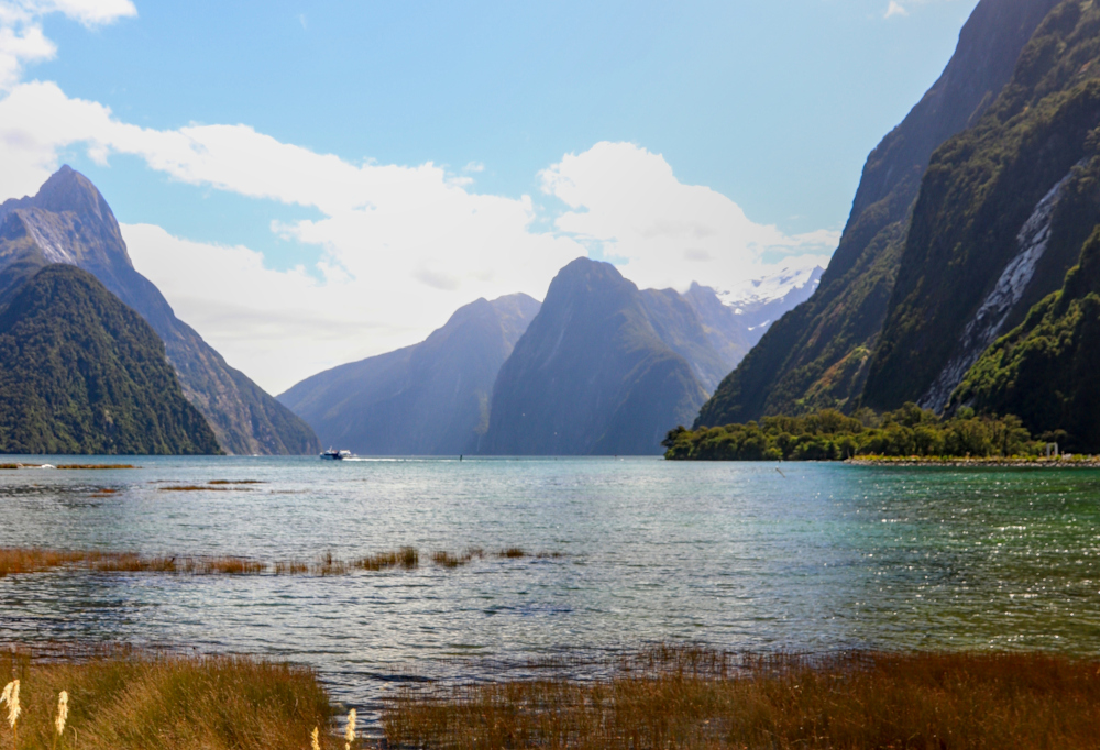 New Zealand: Southern Explorer
