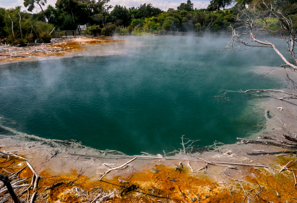 New Zealand: Living Earth