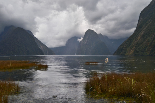 Milford Sound